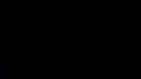 SHANNON online show from December 11, 4:09 pm