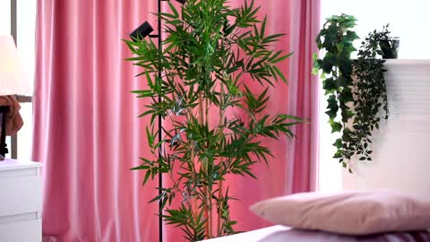 Arielle online show from January 9, 9:16 am