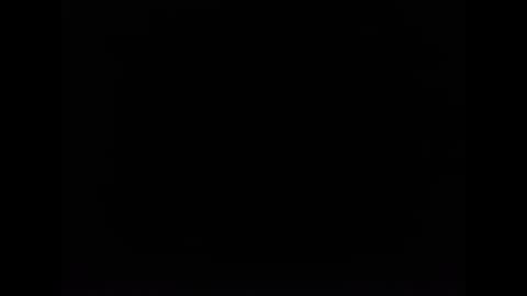 cat online show from February 5, 12:27 pm