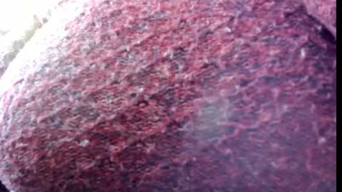 Emily  online show from November 4, 11:04 am