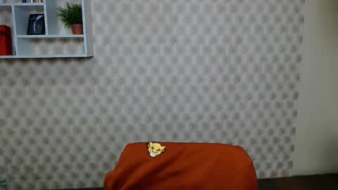 Mira online show from November 12, 8:01 am