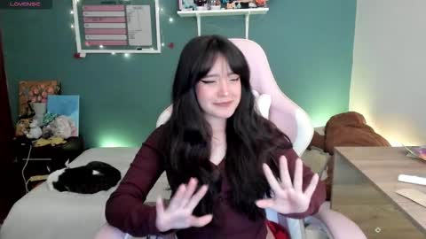 Next stream  950 pm Colombia time xd online show from November 12, 4:32 am