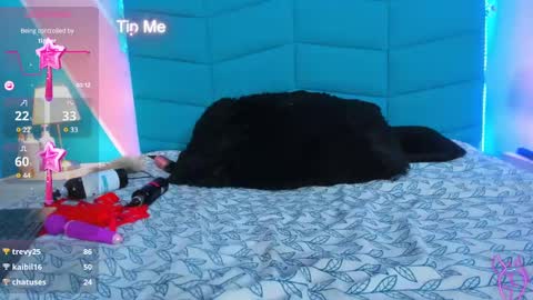 Samara online show from February 28, 10:41 am