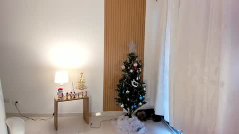 Sam   --- next stream 2 dic. online show from December 28, 9:08 pm