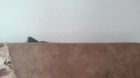  Tokyo01 online show from February 22, 5:31 pm