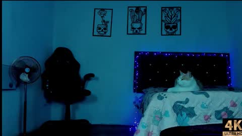 Abby online show from November 23, 3:20 am