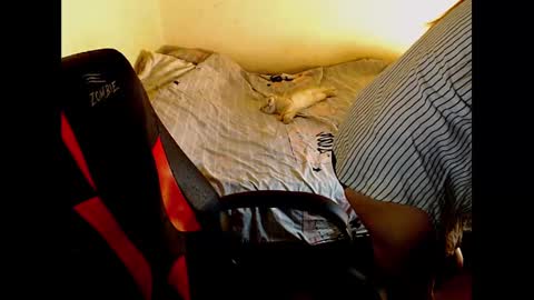 adagretta online show from December 28, 3:37 pm