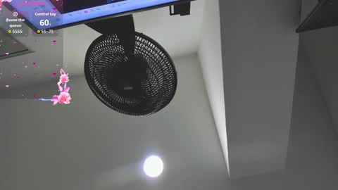 agartha_velvet online show from March 30, 3:39 am