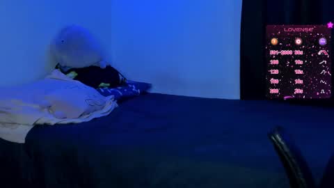 Cat online show from February 24, 7:20 am