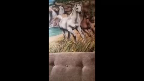 albina online show from February 5, 2:47 am