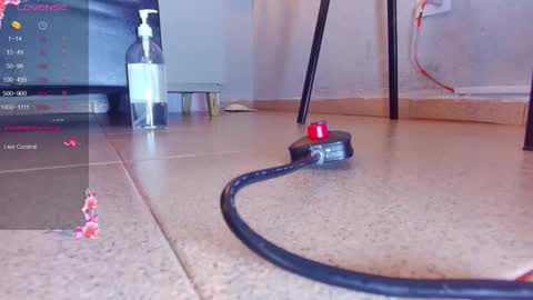 alejandra martins online show from October 8, 10:03 pm