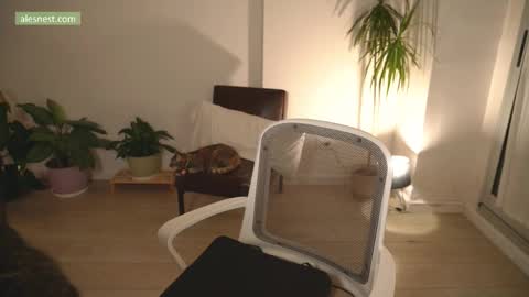 Ale online show from March 7, 11:56 pm