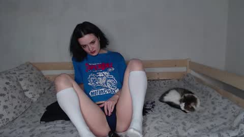 Alice online show from November 13, 8:30 pm