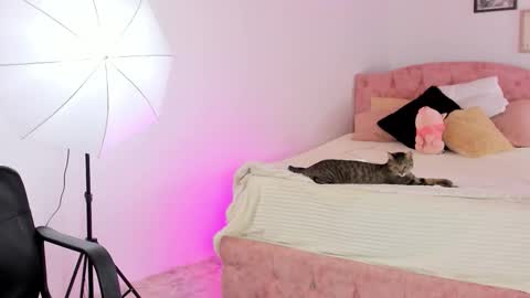  ALICEKIING online show from February 21, 4:24 am