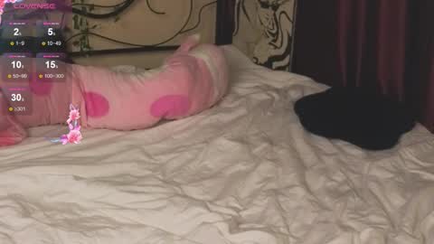 alikasocute online show from November 22, 4:59 am