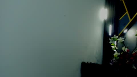 ALMMA online show from January 27, 2:24 pm