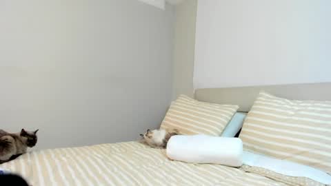 Katha online show from April 4, 1:59 am