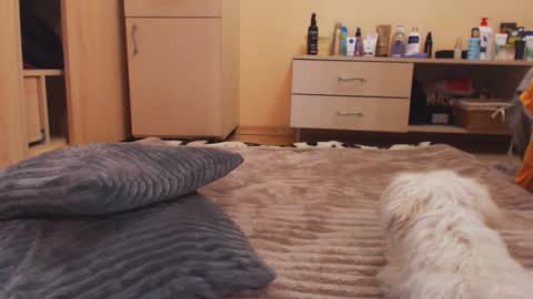 Andra online show from September 17, 7:45 pm