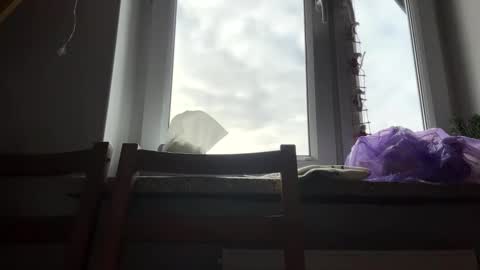 Alice online show from February 4, 8:46 am