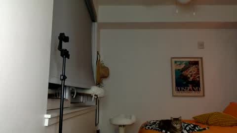 Ani Summers online show from October 6, 7:14 am