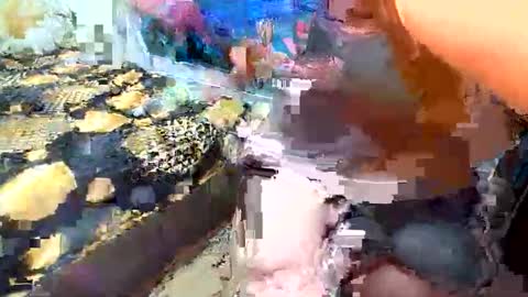 AnnaxGoldX online show from September 19, 8:35 am