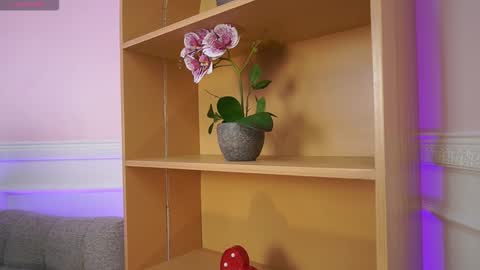 Ana online show from November 7, 11:49 am