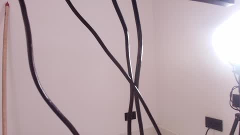 Antonella online show from November 24, 12:07 pm