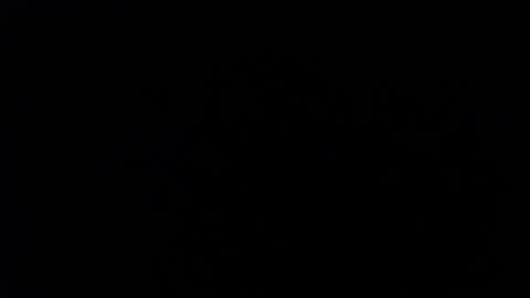 ARIANNA  online show from February 3, 2:53 am