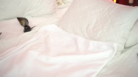 Adele online show from November 20, 5:41 am