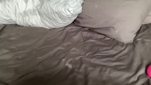 asiangirlandwhiteguy online show from September 18, 4:33 am