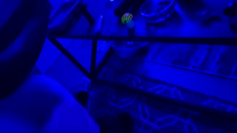 AylaTy online show from September 28, 6:31 am