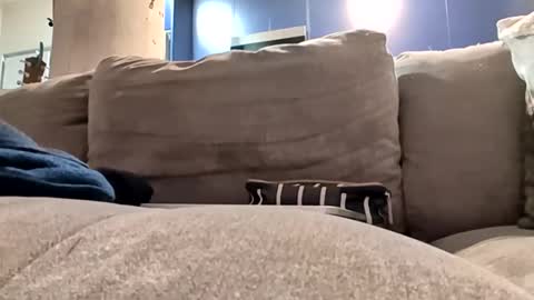 badgirlsclub1029 online show from February 25, 2:43 am