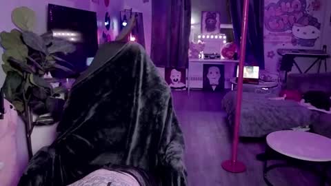 bambitatted online show from February 17, 11:59 pm