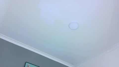 BELA online show from October 28, 11:49 am