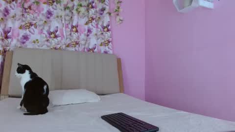 bella_gentle online show from March 10, 10:18 am