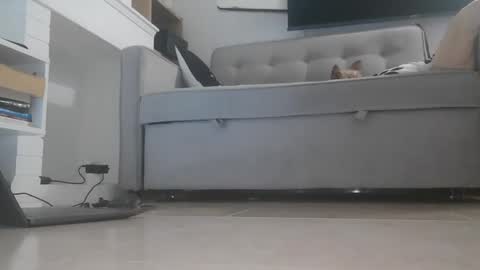 bella_sexy_feet online show from October 24, 6:53 am