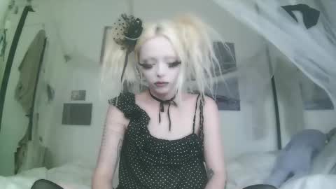 vampire fang  online show from November 27, 8:45 pm