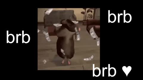  Black Kittie    Wednesday - 1300 - 1900 GMT help me get 100 thumbs up online show from February 20, 1:34 pm