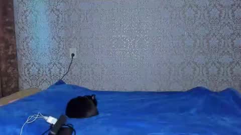 bloemetjes online show from October 16, 10:01 pm