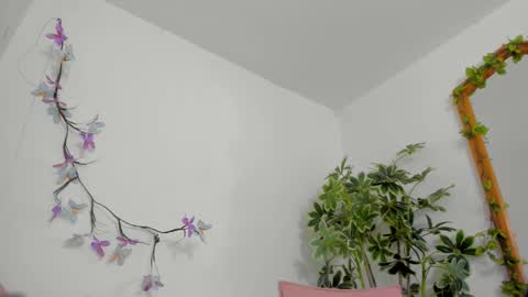   online show from February 1, 12:53 am