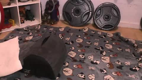 Pumpkin Butt online show from April 10, 6:30 am