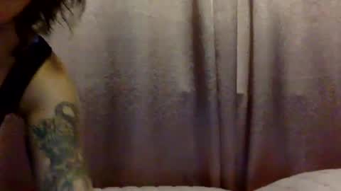 brasilierabrat online show from June 11, 2:33 am