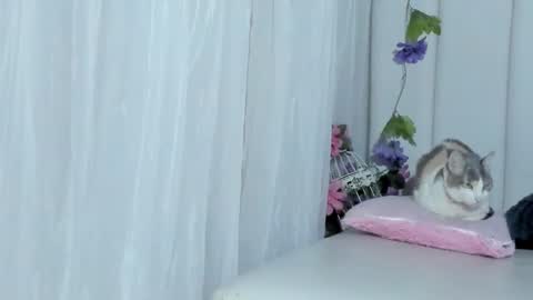 Brithany Rousee online show from February 22, 6:48 pm