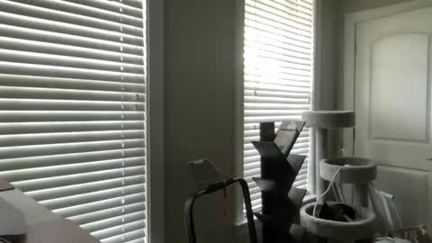 Madam Brooke online show from September 21, 12:48 pm