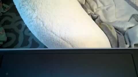 brunettebaby040 online show from November 16, 4:29 pm