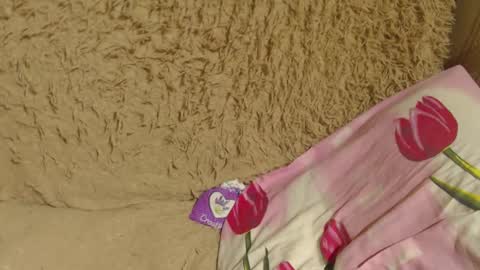 say meow and send tip  online show from December 22, 10:58 pm