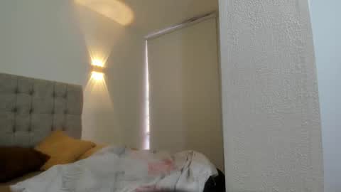 Carolina online show from November 25, 12:18 pm