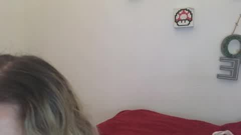 Carolina online show from April 28, 12:53 pm