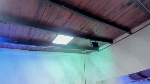 Carolina online show from February 1, 3:27 am