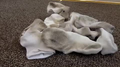 cash13bychanel online show from February 4, 6:38 pm